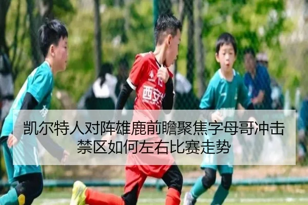 凯尔特人对阵雄鹿前瞻聚焦字母哥冲击禁区如何左右比赛走势